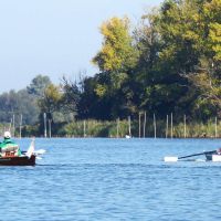 wfwusterwitz rudern06