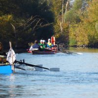 wfwusterwitz rudern08