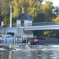 wfwusterwitz rudern10